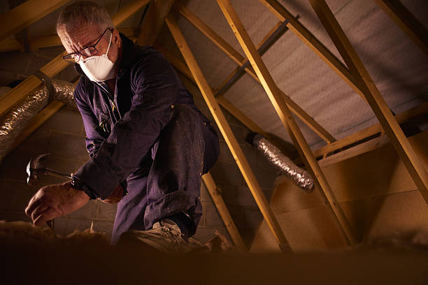 Best Geographic-Specific Insulation Services in Mccla, AL