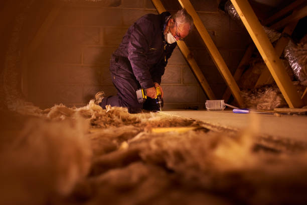 Best Geographic-Specific Insulation Services in Mccla, AL